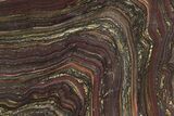 Polished Tiger Iron Stromatolite Slab - Billion Years #222950-1